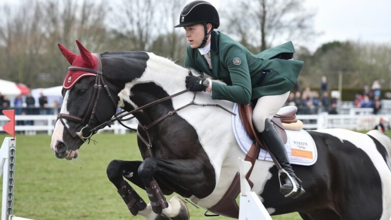 Cavalier en saut d'obstacles