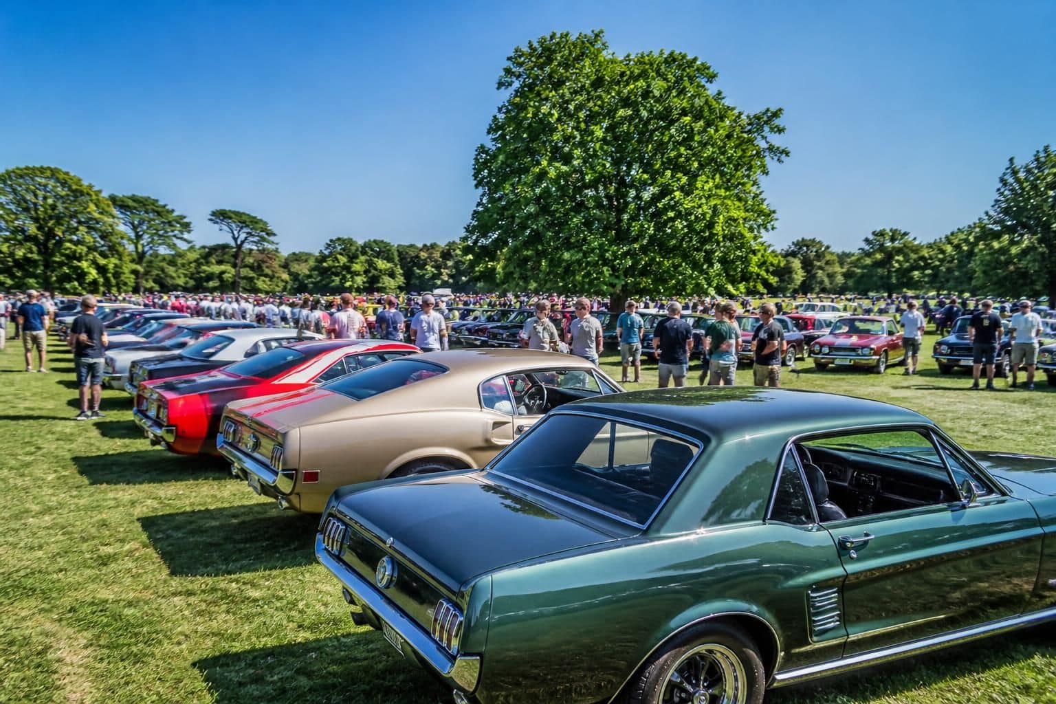le club automobile de loire-atlantique organise un rassemblement de voitures ce week-end dans le 44. venez découvrir des modèles uniques et partager votre passion automobile !
