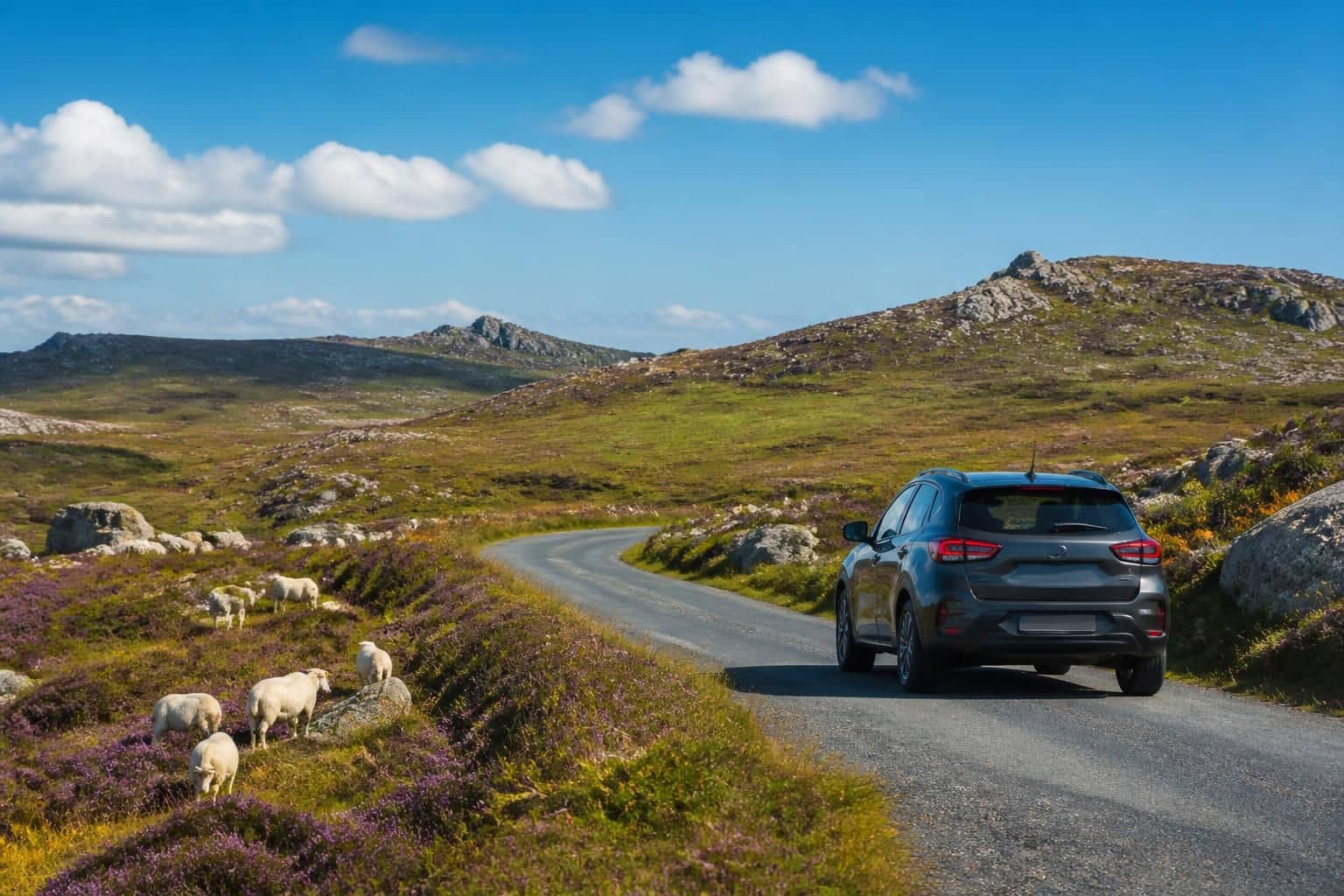 découvrez les monts d'arrée en voiture grâce à notre guide complet dédié au tourisme breton. explorez des paysages uniques et profitez d'itinéraires adaptés pour une aventure inoubliable en bretagne.